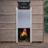 Kit porte automatique poulailler breed safe V2 + trappe poule