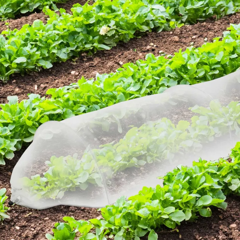 Lot de 4 Tunnels de croissance 3m pour potager