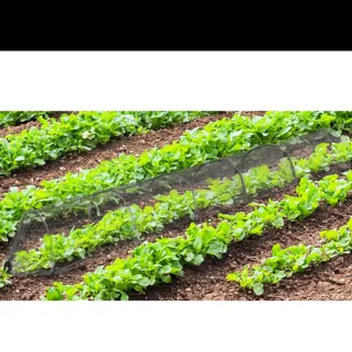 Lot de 4 Tunnels de protection pour potager maillé - 3 m