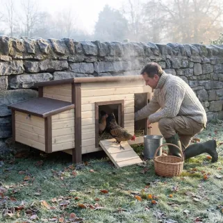 Poulailler chauffant et isolé avec thermostat 3 à 4 poules