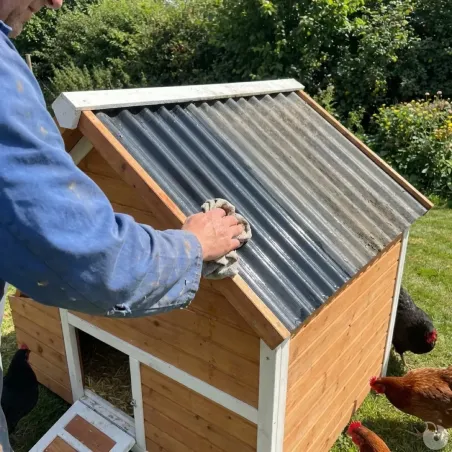 Poulailler bois 3 poules Confort toit plastique 112 x 77 x 92 cm