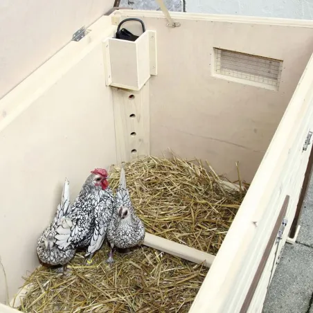 Poulailler chauffant et isolé avec thermostat 3 à 4 poules