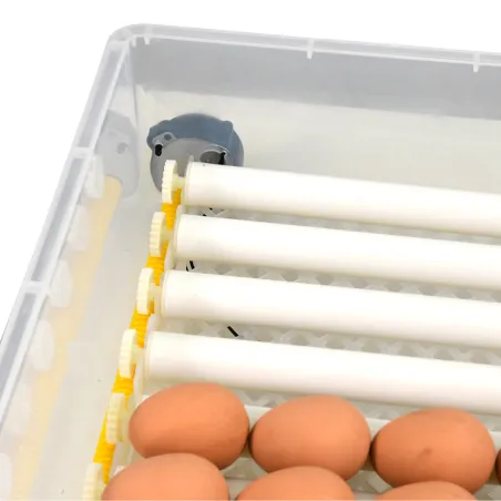 Couveuse automatique Couvitech SP-64 - 64 oeufs idéale débutant incubation