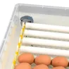 Couveuse automatique Couvitech SP-64 - 64 oeufs idéale débutant incubation