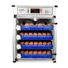 Couveuse automatique Couvitech PRO-272 - capacité 272 oeufs