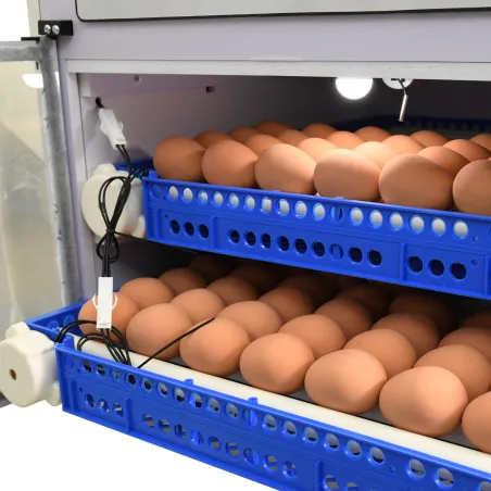 Couveuse automatique Couvitech PRO-136 - capacité 136 oeufs