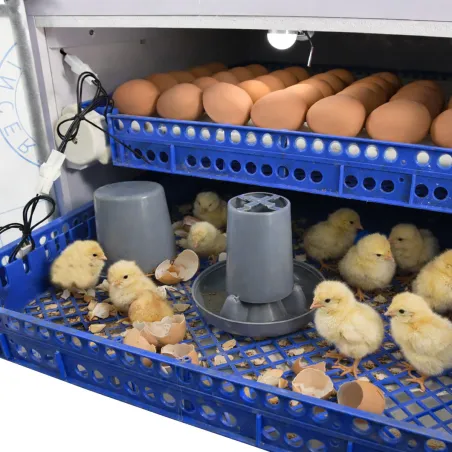 Couveuse automatique Couvitech PRO-136 - capacité 136 oeufs