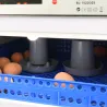 Couveuse automatique Couvitech PRO-68 - 68 oeufs
