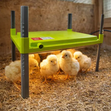 Panneau chauffant 12W à haut rendement