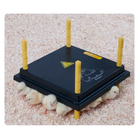  Panneau chauffant poussin 22 W