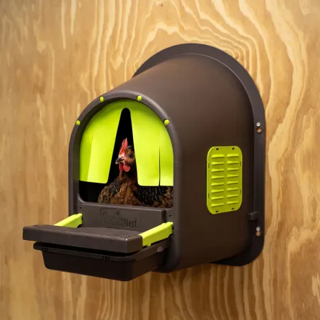 Pondoir MyCosyNest Roll-Away - Collecte d'œufs propre et sécurisée
