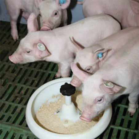 Mangeoire en plastique pour porcelets 2,5L diam. 29 cm