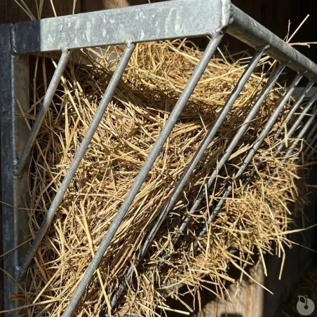 Râtelier à foin pour veaux métal galvanisé fixation murale 5 veaux