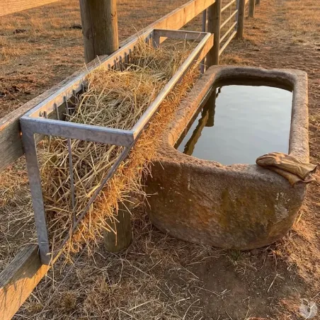 Râtelier à foin pour veaux métal galvanisé fixation murale 5 veaux