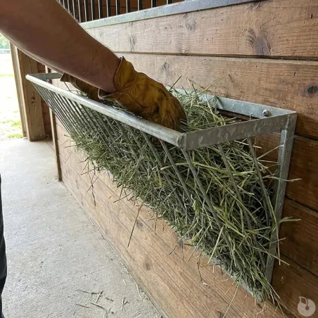Râtelier à foin pour veaux métal galvanisé fixation murale 5 veaux