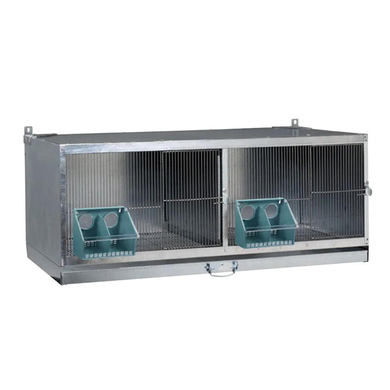 Cage d'élevage pour pigeons métal galvanisé