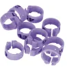 Bagues Spécial Pigeon Marquage Laser Indélébile numérotées 1-25 Violet