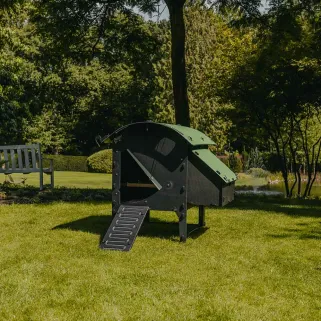 Poulailler sur pieds en plastique recyclé 5 à 9 poules