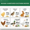 Poulailler surélevé en plastique recyclé 8 à 15 poules