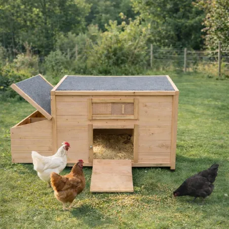 Poulailler en bois avec fenêtre toit en asphalte 3 poules