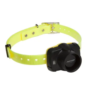 Collier de repérage sonore Canibeep 5