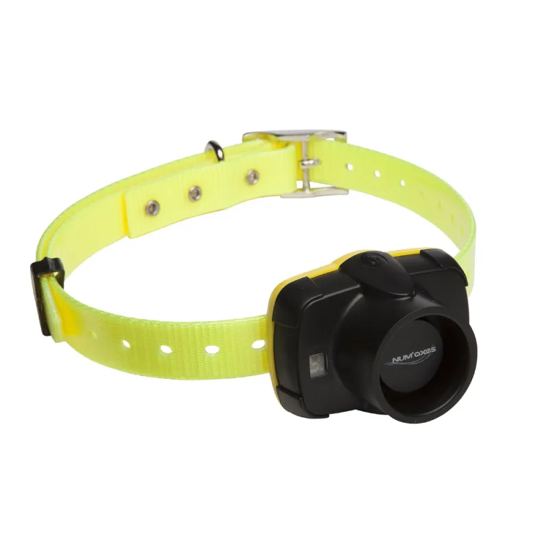 Collier de repérage sonore Canibeep 5