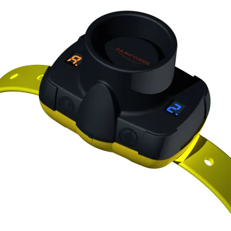 Collier de repérage sonore Canibeep 5
