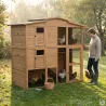 Poulailler Bois 2 étages 10-15 poules 222X115 X200 cm sol PVC