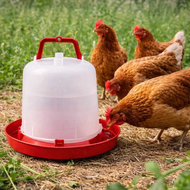 Abreuvoir plastique poule premium robuste avec poignée 10 L River Systems