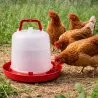 Abreuvoir plastique poule premium robuste avec poignée 10 L River Systems