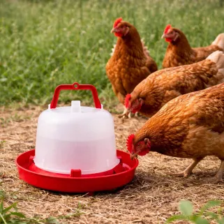 Abreuvoir plastique poule premium robuste avec poignée 5 L