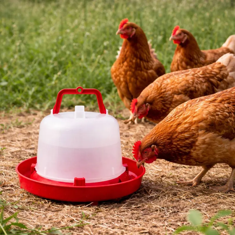 Abreuvoir plastique poule premium robuste avec poignée 5 L