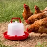 Abreuvoir plastique poule premium robuste avec poignée 5 L