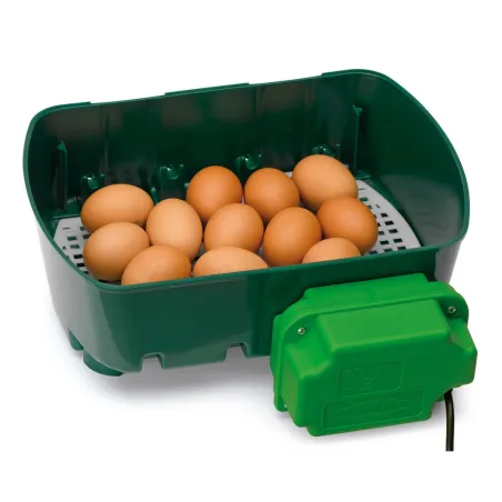 Couveuse automatique 12 oeufs (River Systems Egg Tech 12)