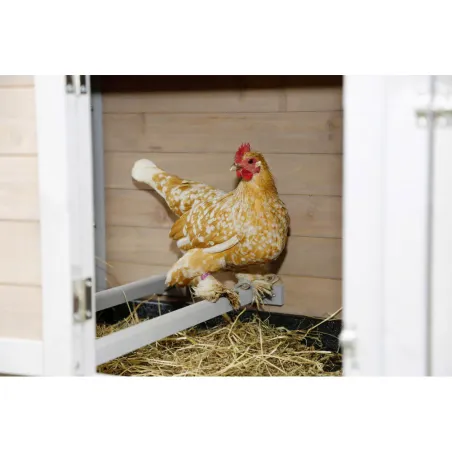 Poulailler "Grand luxe" avec renfort métallique