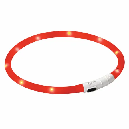 Collier pour chien à LED rechargeable USB
