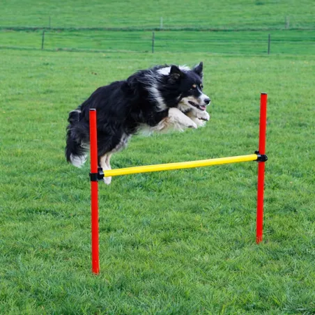 Kit complet d'agilité pour chien Agility en 3 parties