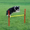 Kit complet d'agilité pour chien Agility en 3 parties