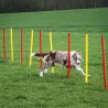 Kit complet d'agilité pour chien Agility en 3 parties