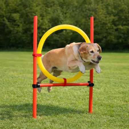Kit complet d'agilité pour chien Agility en 3 parties