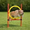 Kit complet d'agilité pour chien Agility en 3 parties