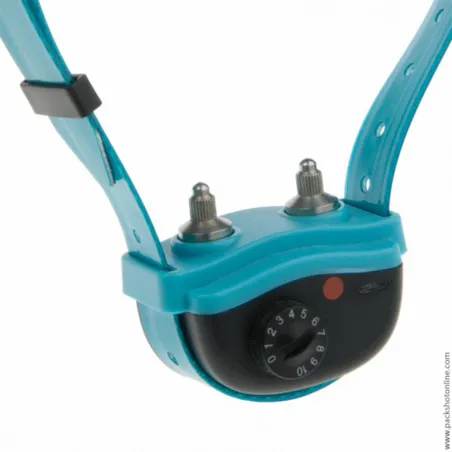 Collier anti-aboiement pour chien à fort caractère "Canicalm Excel"