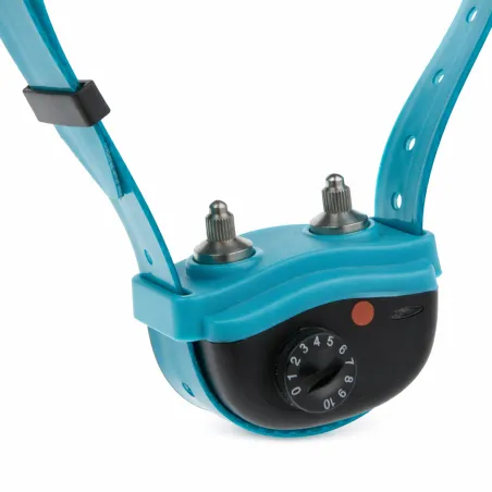 Collier anti-aboiement pour chien à fort caractère "Canicalm Excel"