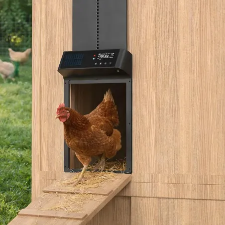 Portier automatique solaire télécommande et application Smartphone