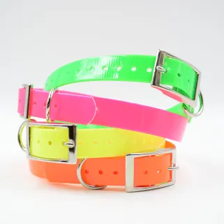 Collier chien fluo BIOGOLD taille standard 4 couleurs