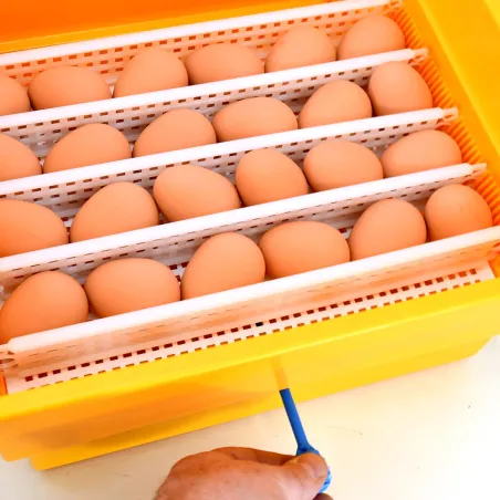 Couveuse semi-automatique Novital Covatutto 24 Eco