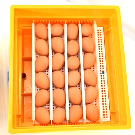 Couveuse semi-automatique Novital Covatutto 24 Eco