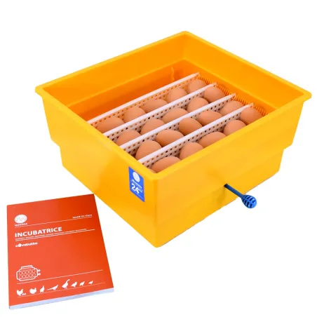 Couveuse semi-automatique Novital Covatutto 24 Eco