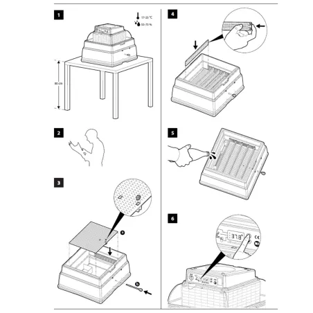 Couveuse semi-automatique Novital Covatutto 24 Eco