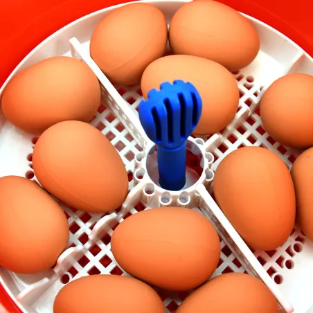 Couveuse automatique Novital Covatutto 16L Pro